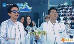 新疆最新新闻爆料消息视频,揭秘神秘事件背后的真相