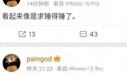 湖北网友爆料视频大全,真实记录生活百态