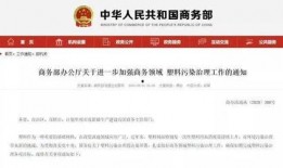 枫丹生物爆料最新消息新闻,揭秘行业前沿动态与突破性进展